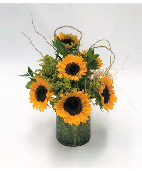 Sunflower Fields