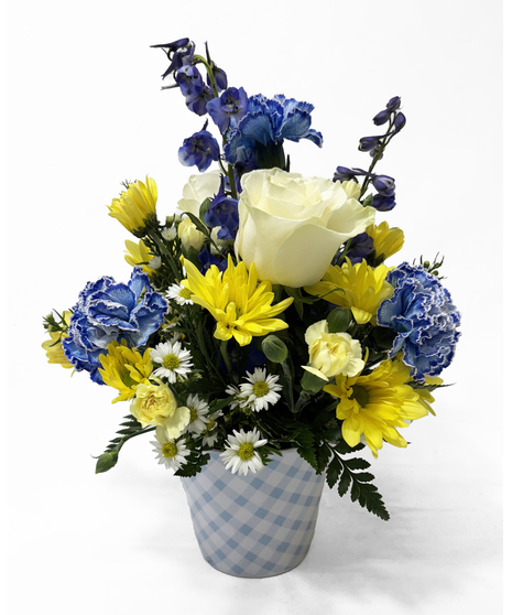 Baby Boy Bundle of Joy