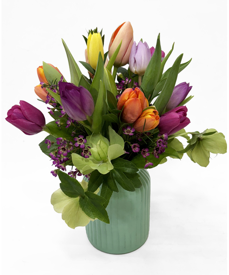 Tulip Tango