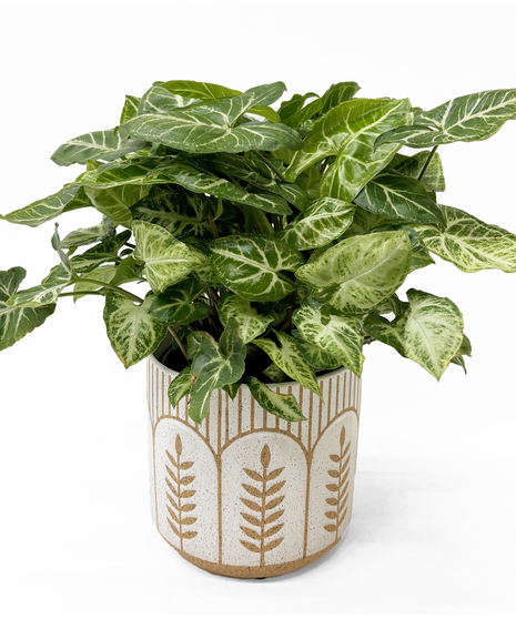New Leaf Planter