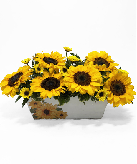 Sunflower Smiles