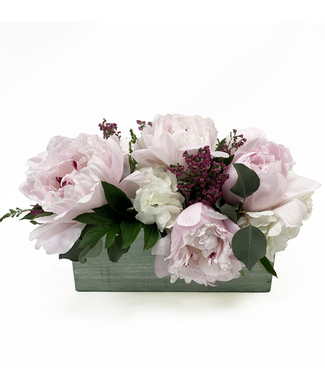 Dreamy Peony Delight