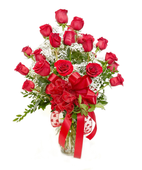 Two Dozen Premium Long Stem Roses