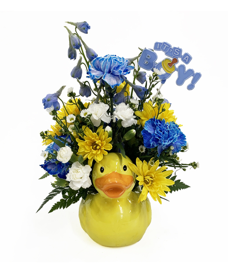 Just Ducky Boy