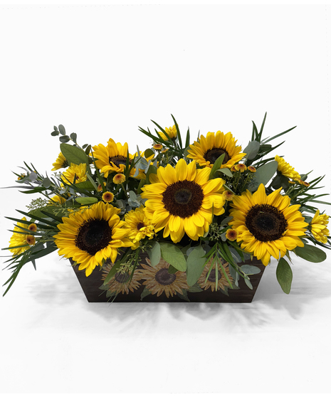 Sunflower Garden
