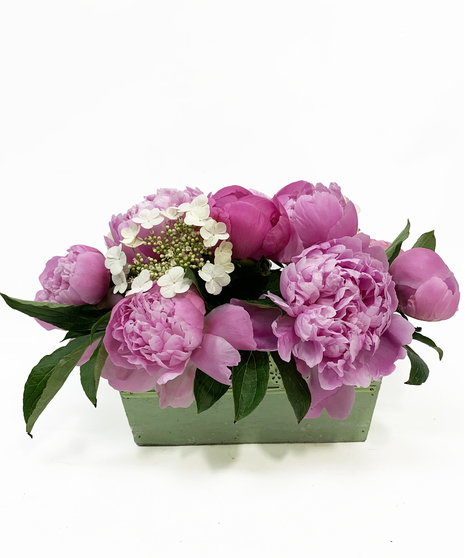 Box of Peonies