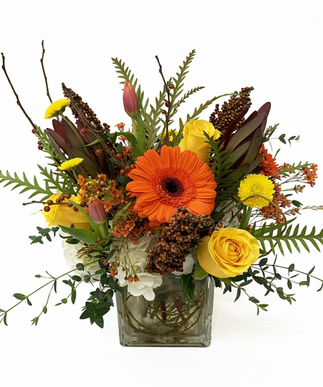 Autumn Equinox