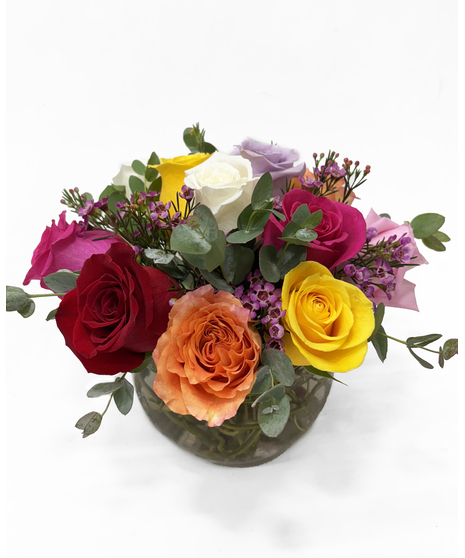 Multi Colored Roses