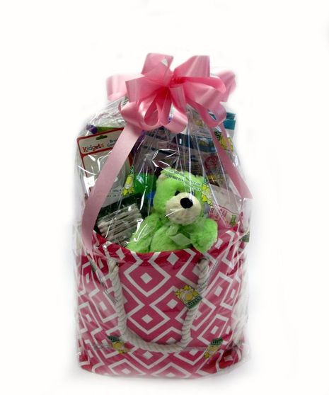 Baby Girl Gift Bag  Delaware & Maryland New Baby Gift Basket