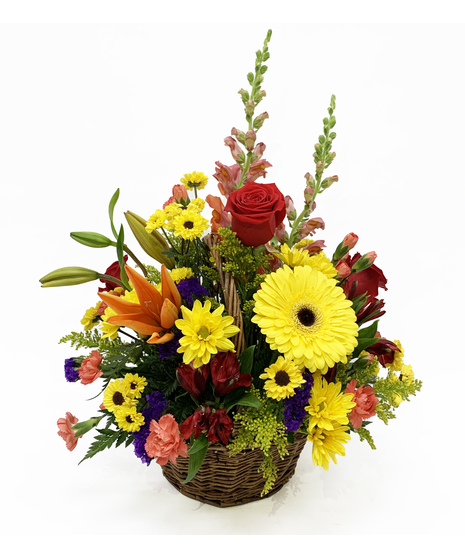 Bountiful Basket
