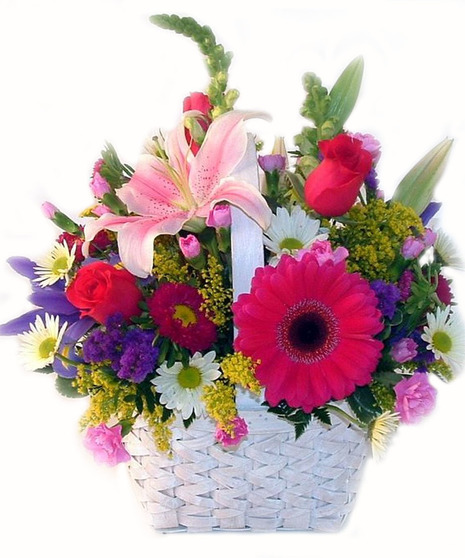 Birthday Blooms