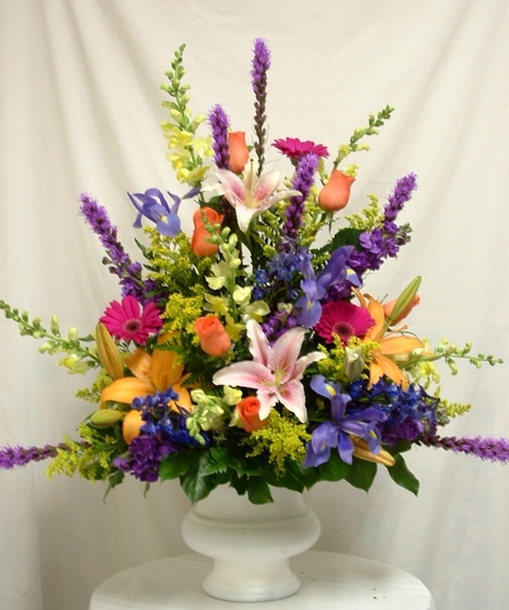 Elegant Sympathy