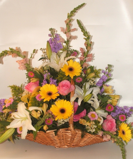 Natural Wonder Fireside Basket