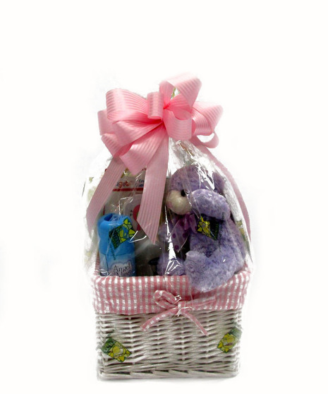 Baby Girl Gift Bag, Delaware & Maryland New Baby Gift Basket Delivery