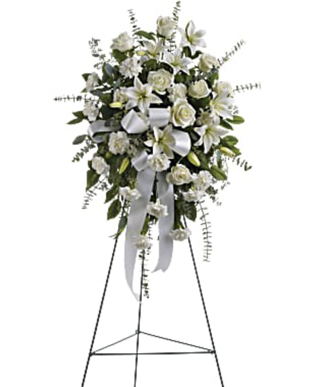 Sentiments of Serenity Spray