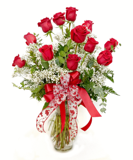 One Dozen Premium Long Stem Roses
