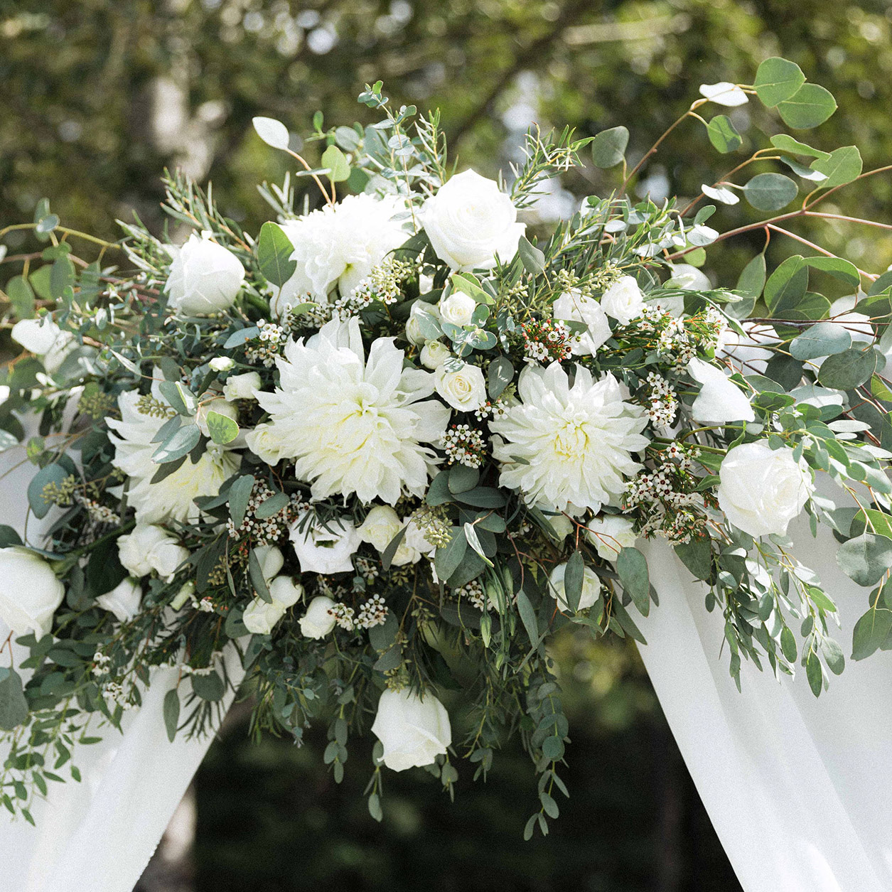 Salisbury, MD Florist & Flower Delivery Kitty's Flowers